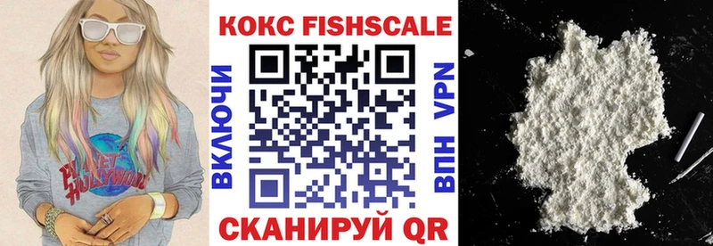 Cocaine FishScale  цены наркотик  Удомля 