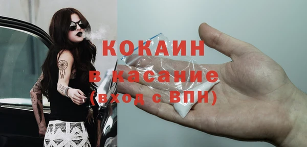 стаф Аркадак
