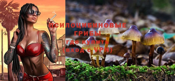 стаф Нефтегорск