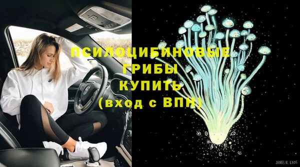 амф Арсеньев