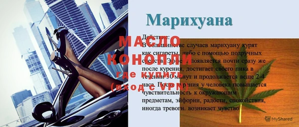 стаф Аркадак