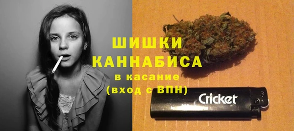 амф Арсеньев